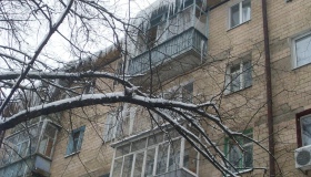 Поліція кваліфікувала смерть від бурулі як убивство
