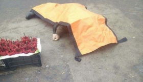 На полтавській вулиці померла літня людина