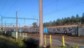 Гребінківську електричку розмалювали невідомі в масках. ВІДЕО