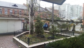 У Кременчуці шквальний вітер повалив дерева і зупинки