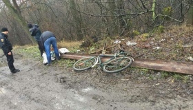 На Полтавщині обабіч траси розкрадають бар'єрну огорожу