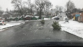 Полтавці позначають ями на дорогах новорічними ялинками. ФОТО