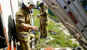 Троє полтавців задихнулися у каналізаційному колекторі, є загиблий
