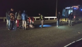 Під Полтавою автомобіль збив пішохода, який вижив, а на Хорольщині - загинув