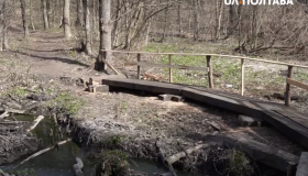 Полтавці власноруч збудували місток у Гришкіному лісі. ВІДЕО