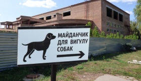 У Полтаві відкриють перший майданчик для вигулу собак
