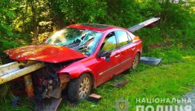 У Великій Багачці відбійник "прошив" автівку з двома малятами