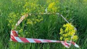 На території колишніх артскладів розпочнуть археологічні пошуки