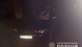 У Шишаках під колесами авто загинув пішохід