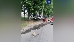 Двоє загиблих: автівка в'їхала в електроопору