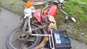 Через собаку, який вибіг на дорогу, загинув мопедист