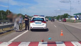 У лікарні померла 4-річна дівчинка, яку під Полтавою сбив "Сітроен"