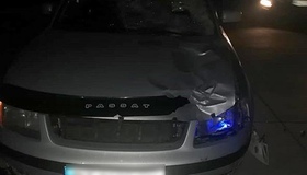 На Полтавщині загинув пішохід