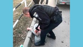 У Полтаві водію автобуса стало зле