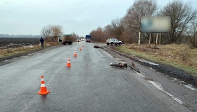 На Полтавщині вантажівка на смерть збила 82-річного велосипедиста