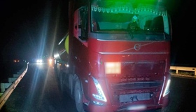 Під колесами фури загинула полтавка