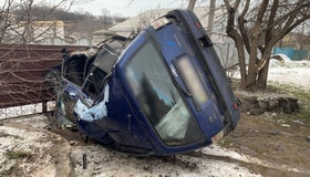 "Опель" перекинувся після зустрічі з деревом: двоє у лікарні