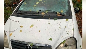 Під Полтавою автівка на смерть збила велосипедистку