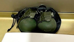 Поліція Полтави встановлює походження гранат у пасажирському потязі