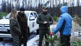 На Полтавщині склали 18 протоколів за незаконну заготівлю ялинок