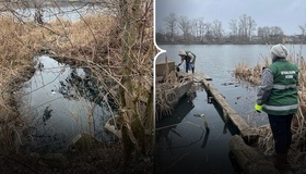 Забруднення Ворскли: екологи перевіряють злив невідомих нечистот