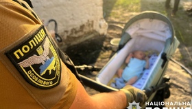 Викрадення немовля: суд призначив кременчужанину лише рік ув&rsquo;язнення
