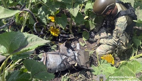 Вибухотехніки Полтавщини знешкодили бойову частину ворожого безпілотника