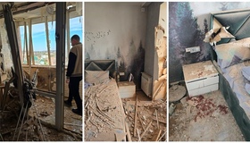 У Супрунівці вагітна кішка вижила після прильоту і народила кошенят