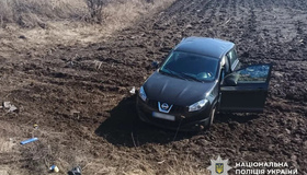 У ДТП на Миргородщині травмувалися двоє людей