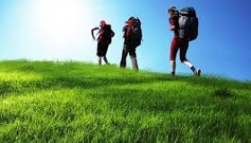 Область отримала майже два мільйони турзбору за три місяці року