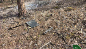 На Полтавщині через падіння дрона сталася лісова пожежа